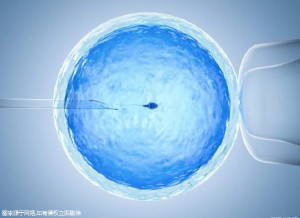 单身生育力保存